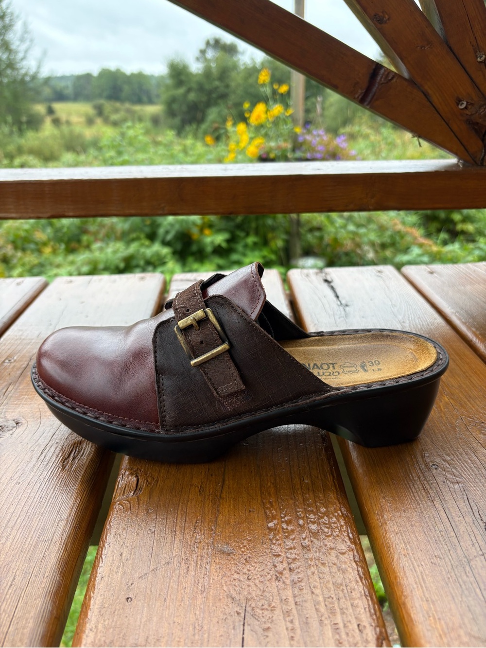 NAOT Burgundy Brown Leather Buckle Clogs EU 39 US 8 Made in Israel